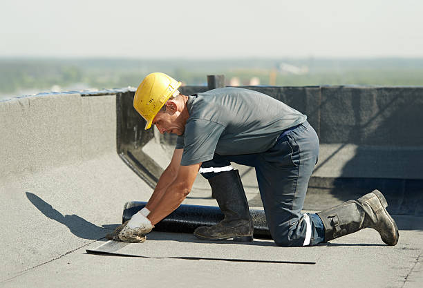 Best Commercial Insulation in Bee Ridge, FL